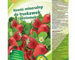 nawóz mineralny do truskawek i poziomek 1kg Planta