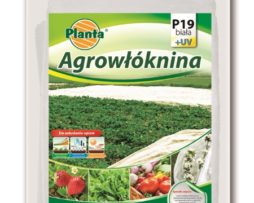 agrowłóknina P19 wymiary 2,1x5m