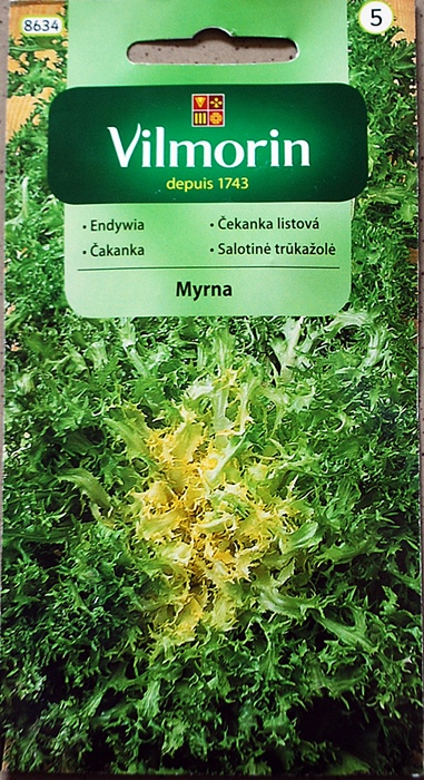 endywia Myrna 8634 endywia Myrna 8634