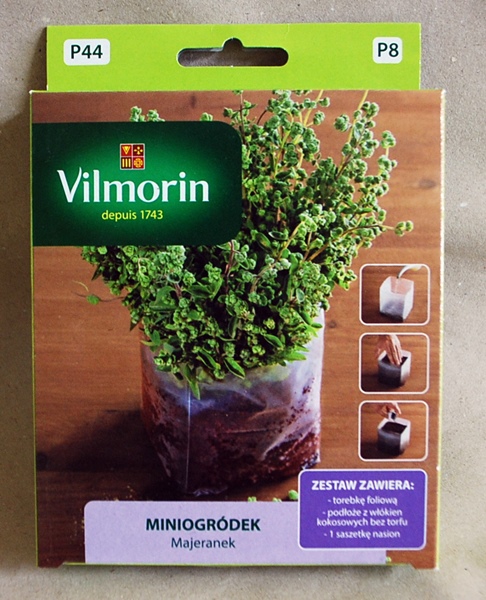majeranek miniogródek P44 majeranek miniogródek P44