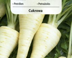 pietruszka cukrowa 645