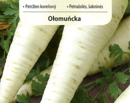 pietruszka ołomuńcka 648