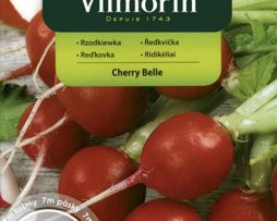 rzodkiewka Cherry Belle 580