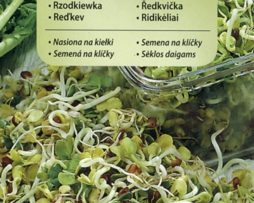 rzodkiewka nasiona na kiełki 554