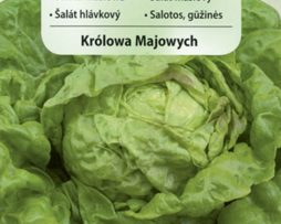 sałata masłowa Królowa Majowych 853